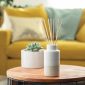 Vanilla Citrus  Reed Diffuser